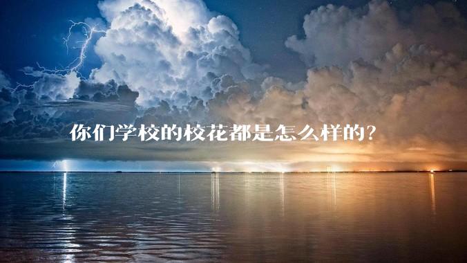 你们学校的校花都是怎么样的？