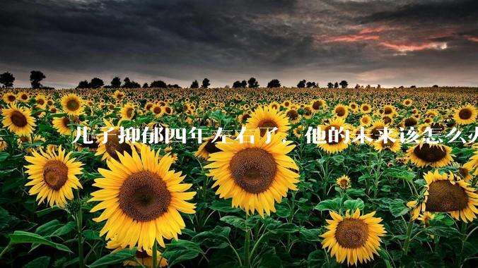 儿子抑郁四年左右了，他的未来该怎么办？